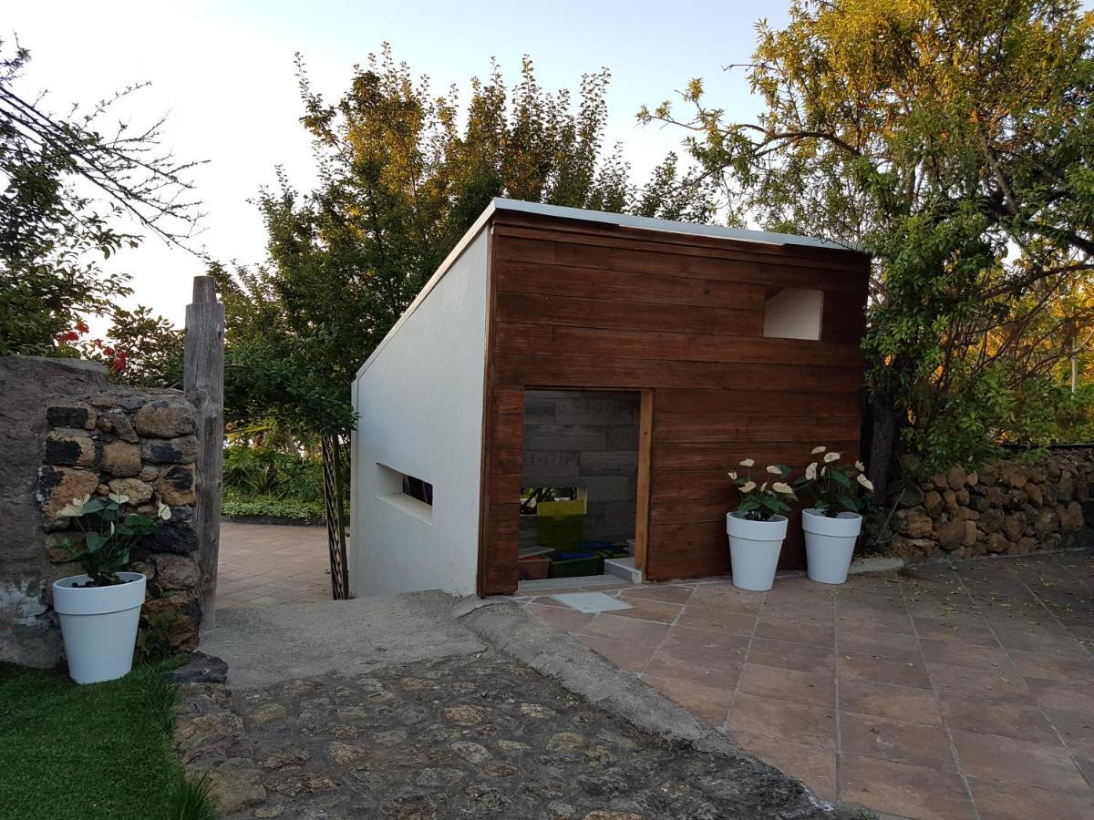 Finca Los Ciruelos Casas Rurales Icod De Los Vinos Exterior foto